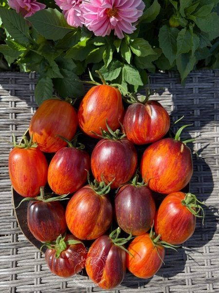 �������� ������: ������ ����� � ����� �������� � ���������� ������