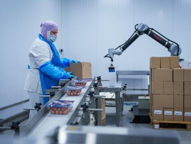 Уменьшение шума на фабрике: как бережливые практики повысили эффективность на 11%