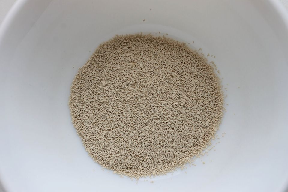 ����������� � ��������: ������� � �������� ����� ����� �� ������� ���� ��������