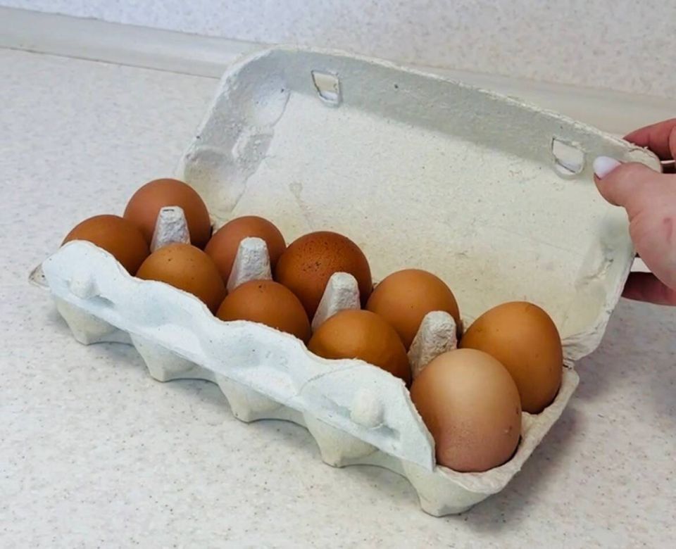 ��� �������� 14 ��� � ������� ��� �������: ������� �������� ��� �������� ����� � ������������