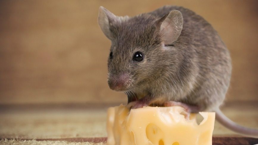 ��� �� 3 ��� ���������� ����������� ��������� ����� � ��������� ���