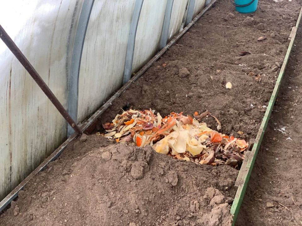 ��� �������� ������ ������ �� ��������� ���������� � ������������