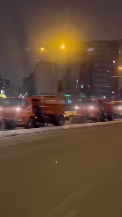 ����� ������: ������� � ���� ������� �� ������, ���������, ��� ��� ������ ����� ������� ����� � �����