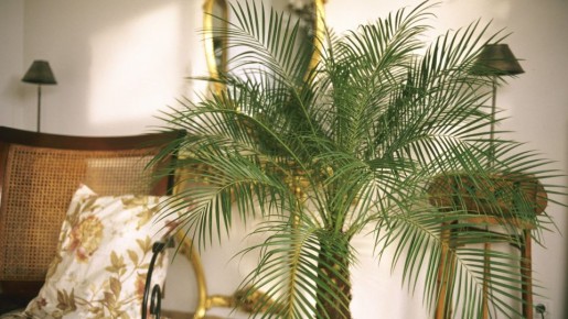 �������� ���������: �� � ���� ������ �� ������� �����, ����� ��������� ������ ��������