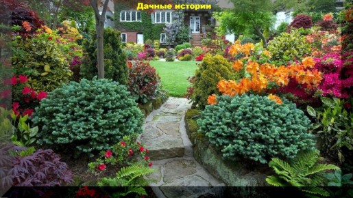 Идеи для цветников: как создать красоту в саду с минимальными затратами