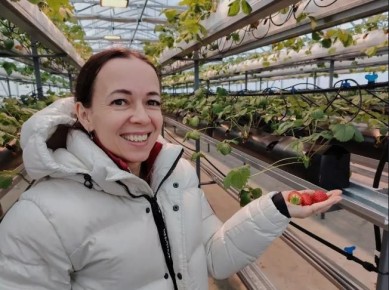 ���������� ����������� ������ ������� ���� ���������� � ����� ��������