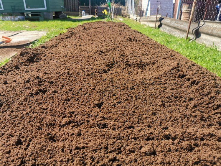 ���� �� ����� ��������� ������� ��������� �����