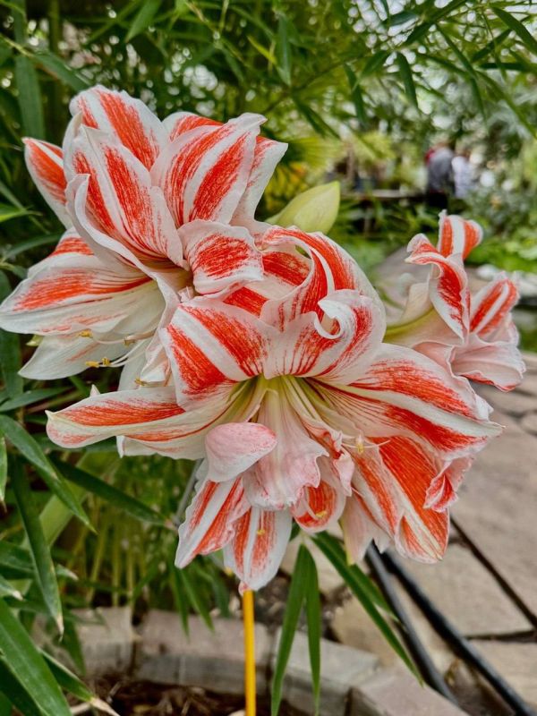 ��������� ���������� ������ �������� ��������� ���� � ������������ ����