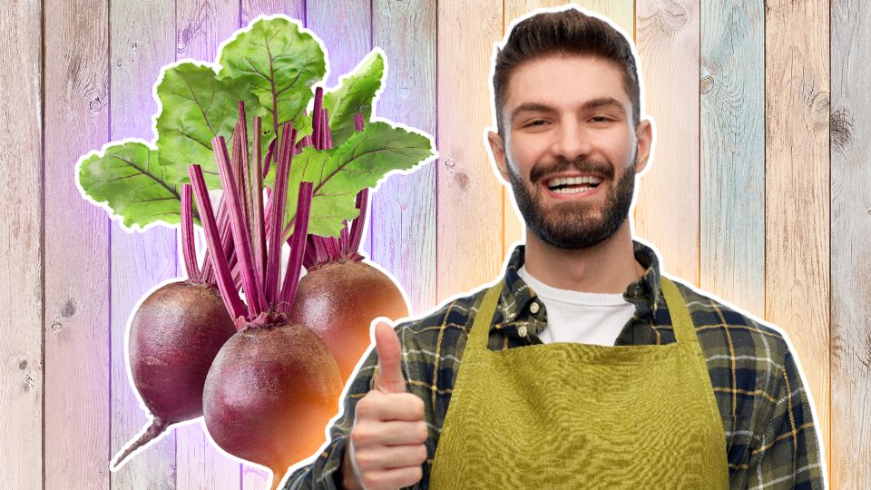 ������ ����� �� ���������� �� �����, ���� ����� ���� ��������: ������� ���� ������ ���