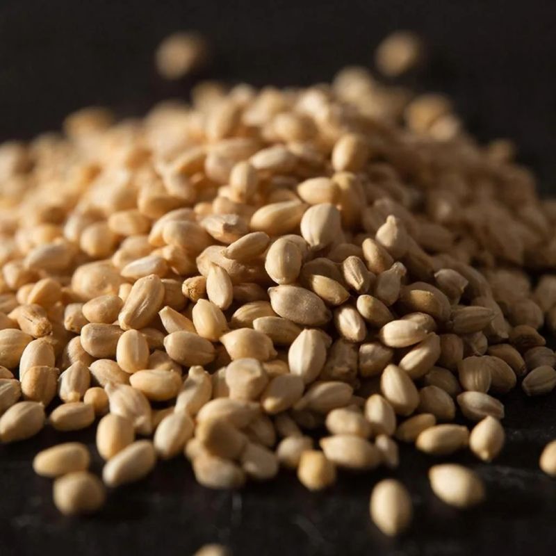 ������: ������ �������� ��� ����� ������ � ��������