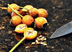 ��� ��������� ���� �� �����: ������� ��������� ��������� �����������