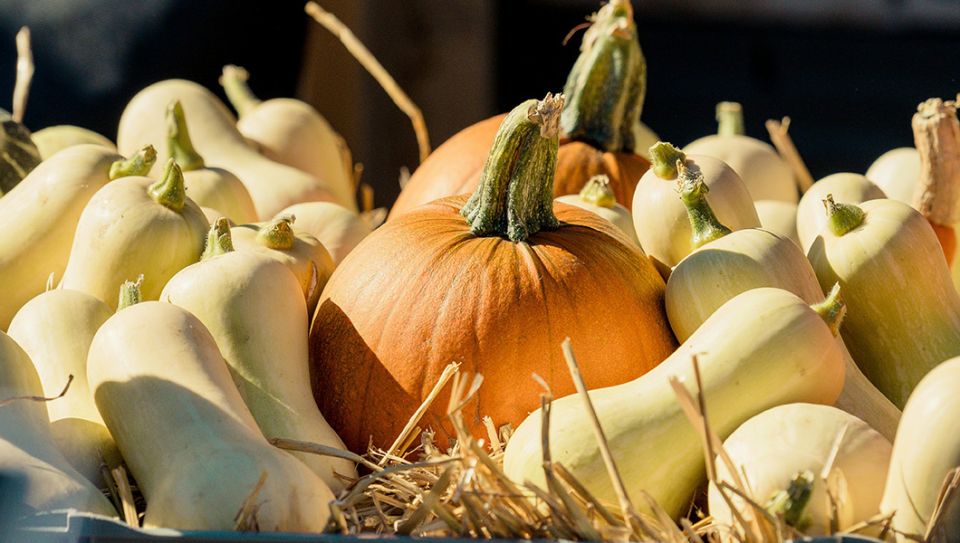 ����� � �������: ������� ������ � ������ �������