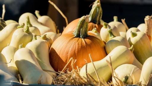 ����� � �������: ������� ������ � ������ �������