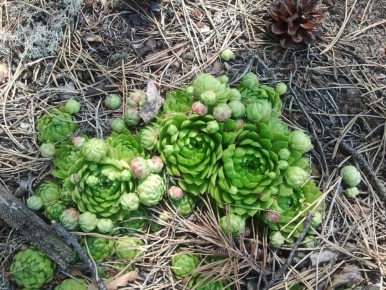 ��������: ��� ������� ������ ��������� ��� ������� ������������