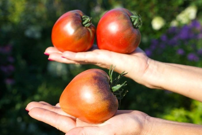 ����� �������� �����: ������� ������ ��� ������ �������