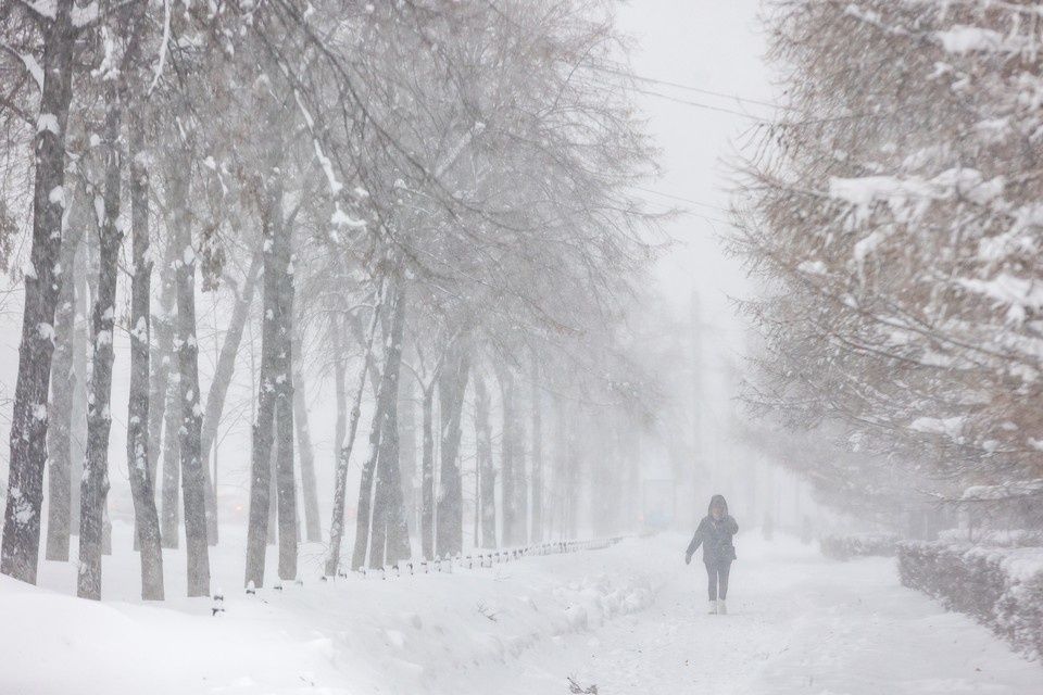 �������� �������� �� ���������� �� ������ � ������ ������