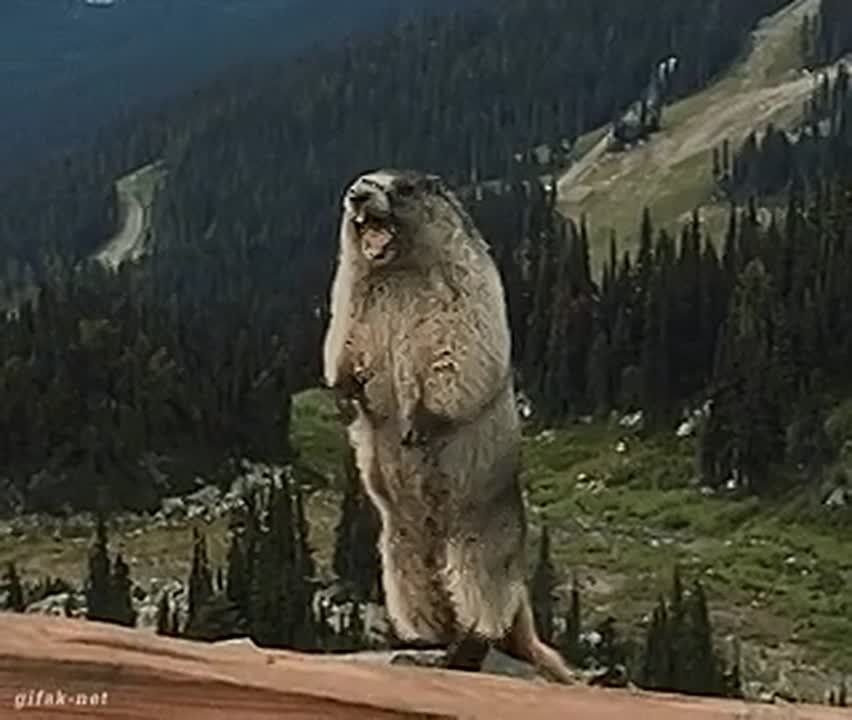 ���� ���������, �������� ���� � �������� �����