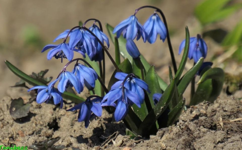 ������: ������� ��������� ���� � ������� �����