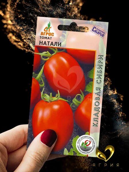 ����� ������: ��������� ����� ��� ������ �������