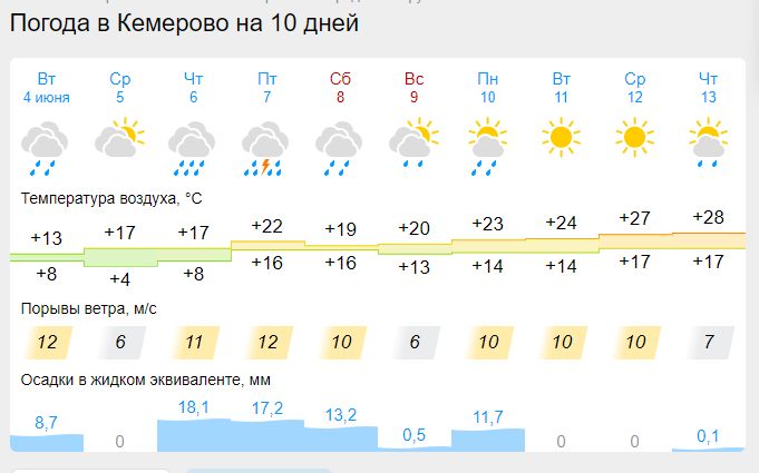 Пришла пора высаживать томаты: подготовка к дачному сезону