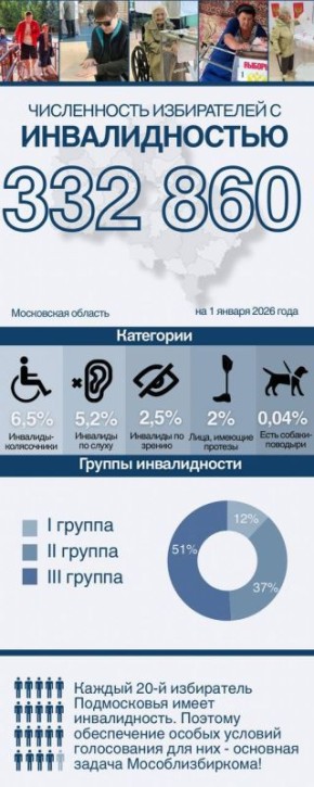 Избирком, общественные организации и волонтеры: командная работа для доступных выборов в Подмосковье