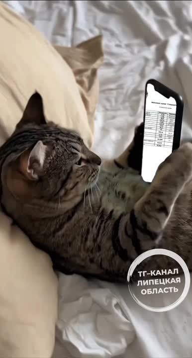 �������� �������� �������� �������� ������� ��������� � �����