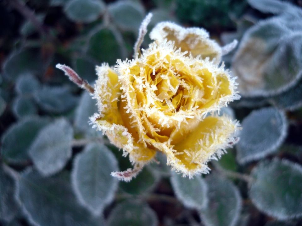 ��� �� �������� �������� �����: ������� ��� ������ ������