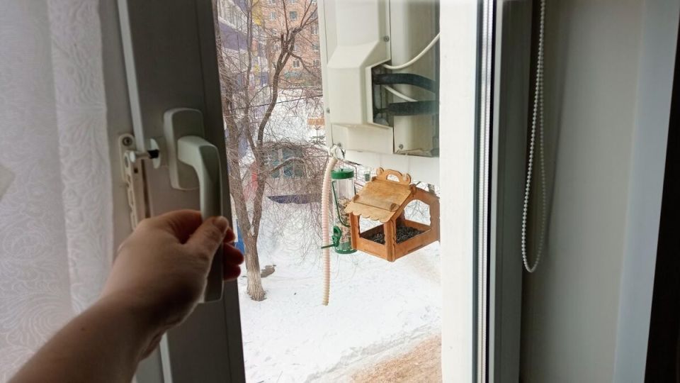 ��� ����������� ������ ������� �� ������: ������ ������ �������