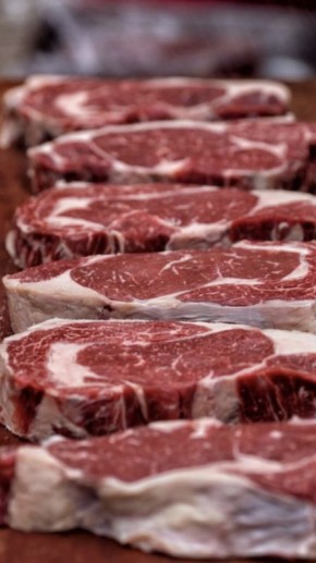 ������ ���� ���� ����� �������� �� �����: ������������ ����