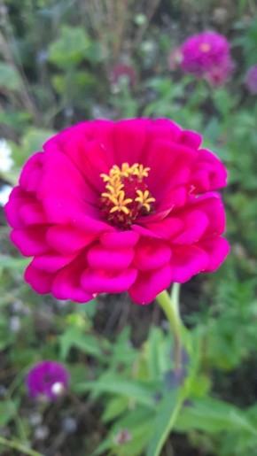 ������: ������, ������� �������� ������ ��������