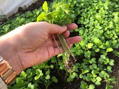 ������ �������� ����� ������� ����� ���������� ����������