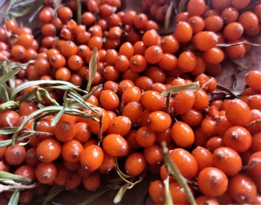 �������� �� ����: ��� �������� � �������� � ��� ��������� ��������� �����