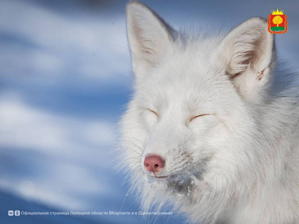 �� -28�C ��������� 3 ������� � �������� �������