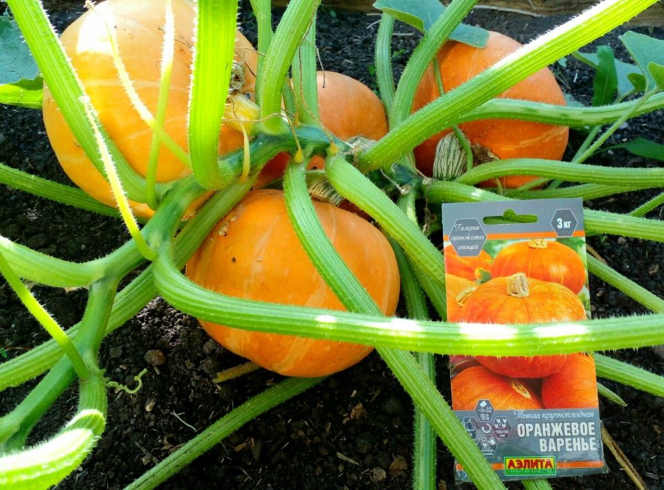 ��������� ������: �������� �����, �� ���������� ����� �����