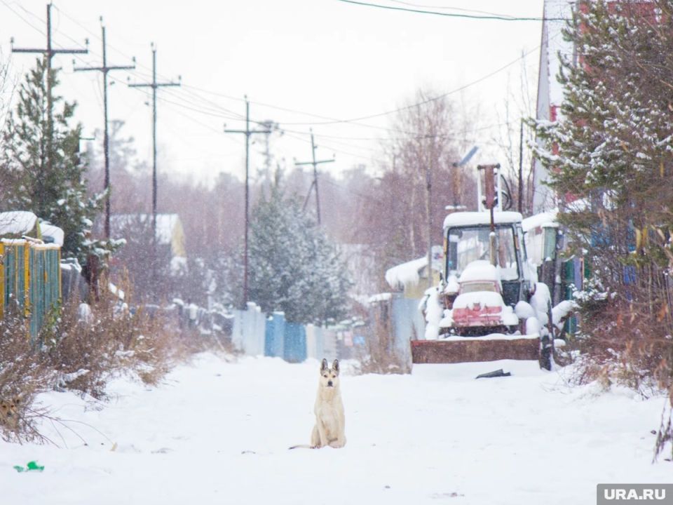 В России изменяют требования к земельным участкам: что россиянам нужно знать о законе садоводов