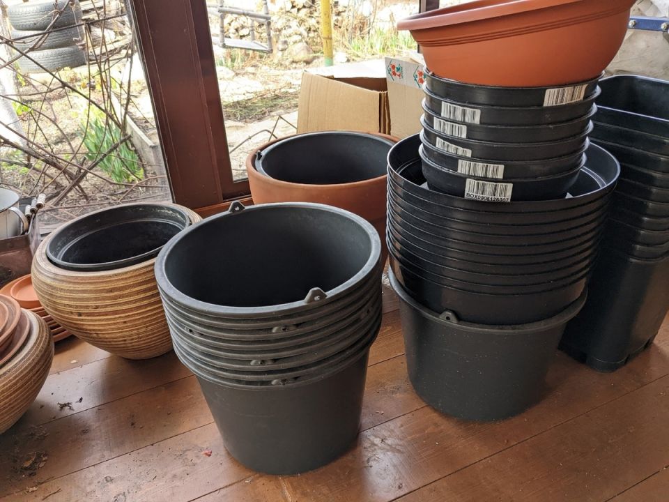 Как создать разнообразный контейнерный сад, используя минимум горшков