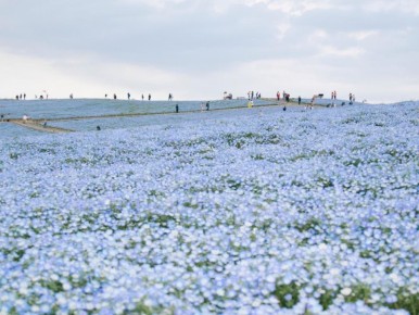 ˸�: ������� � ������ ��� ������ ����