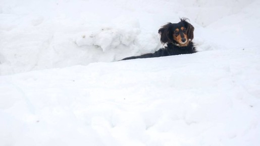 ������ ������� ������������ � ������ �������� �� ���������� ����������