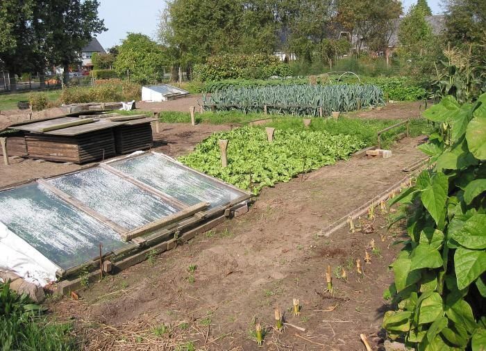 ����������� ��������� ��� ������� � ����: ������� ��������� ������