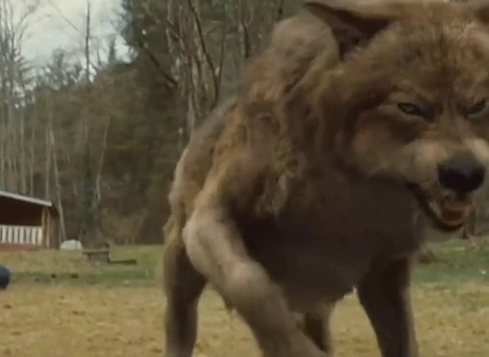 ������ � ���� �������� ����� �� �������� �� ����� ��������?