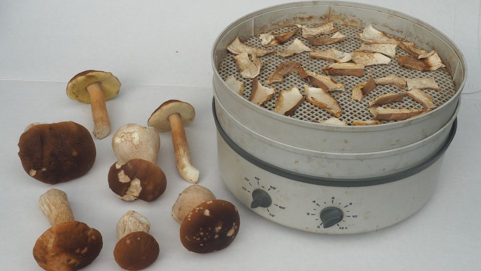 ������� ��������� ������� ����� ��������: ��������� ��� 3 ��������������