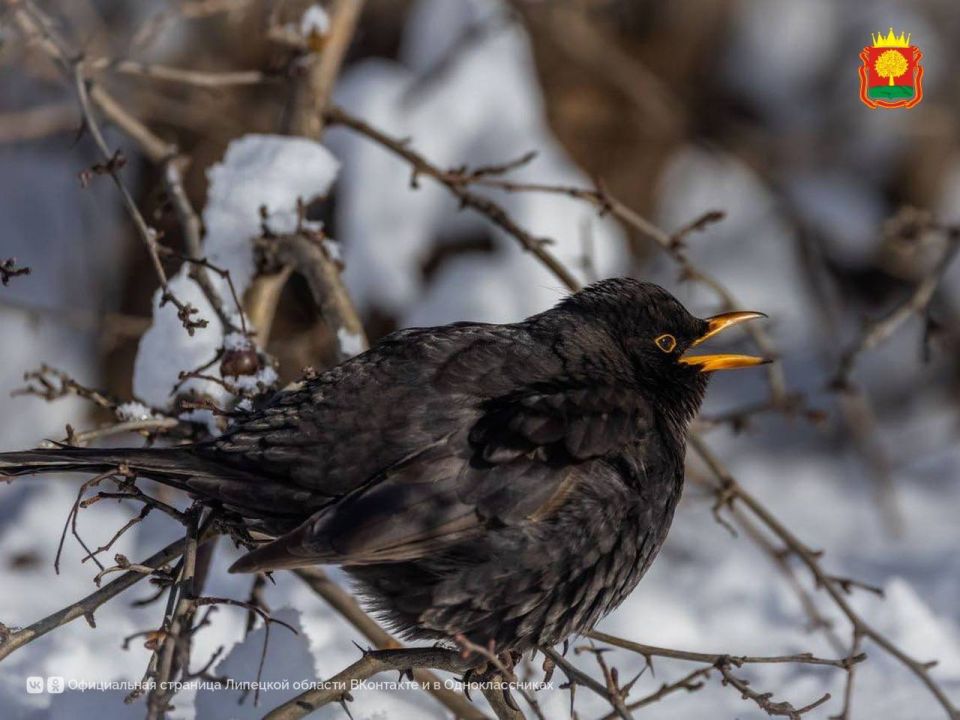 5 ������� ����� ��� ���� ����� �������� ���� � �������� �������