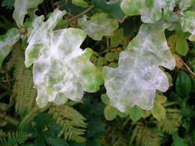 ��� ������ ������� �� ��������� ���� � ������� �������� ��������