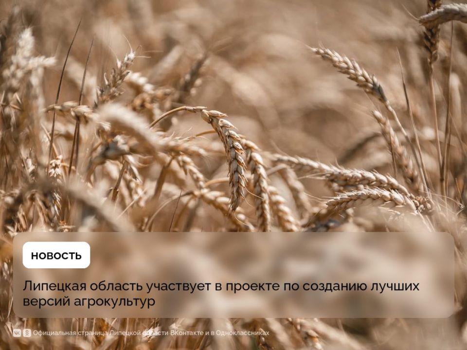 ������ ������� ���� ������ �������� ������������ ���� ��� �� �������� �����