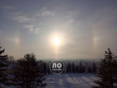 ���� ��� �������� ����� ������� �������