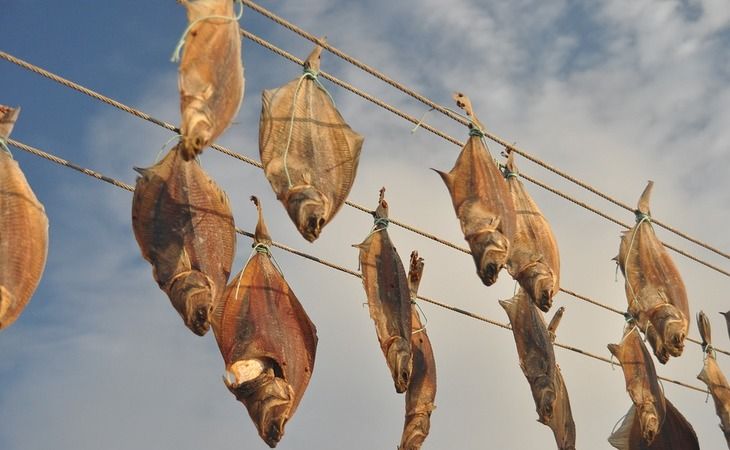 ��� ���������� ������� �������, ����� �� ��������� ���: ��� �������� ���� � ������ ����