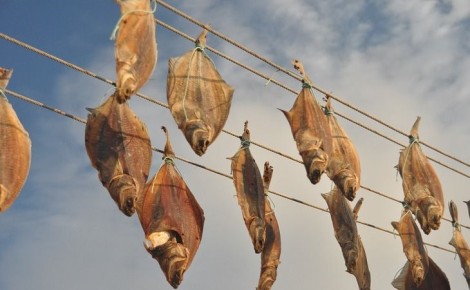 ��� ���������� ������� �������, ����� �� ��������� ���: ��� �������� ���� � ������ ����