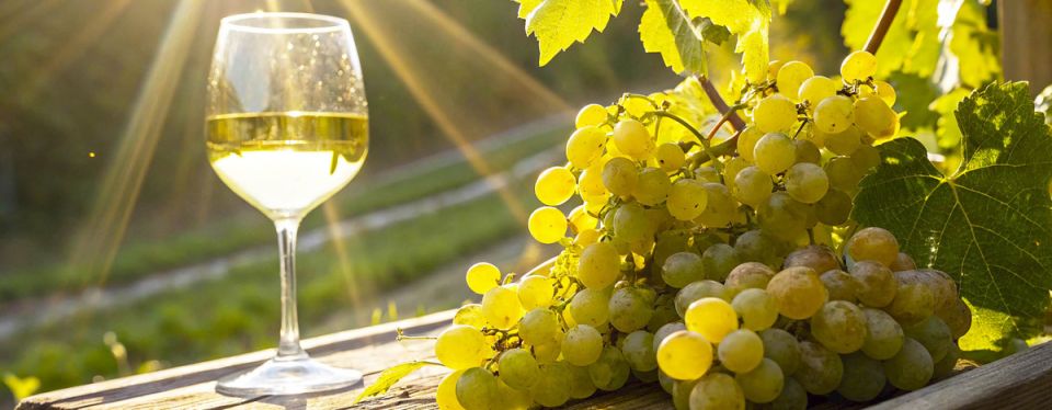 Секреты альбариньо: почему это вино стоит попробовать