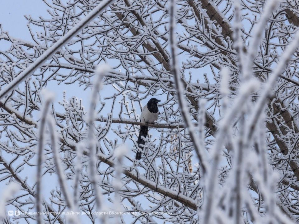 10 ������� � �������� ������� �� -14� �� -19�