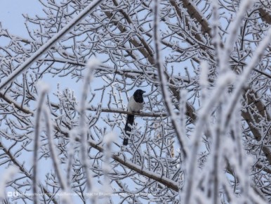 10 ������� � �������� ������� �� -14� �� -19�